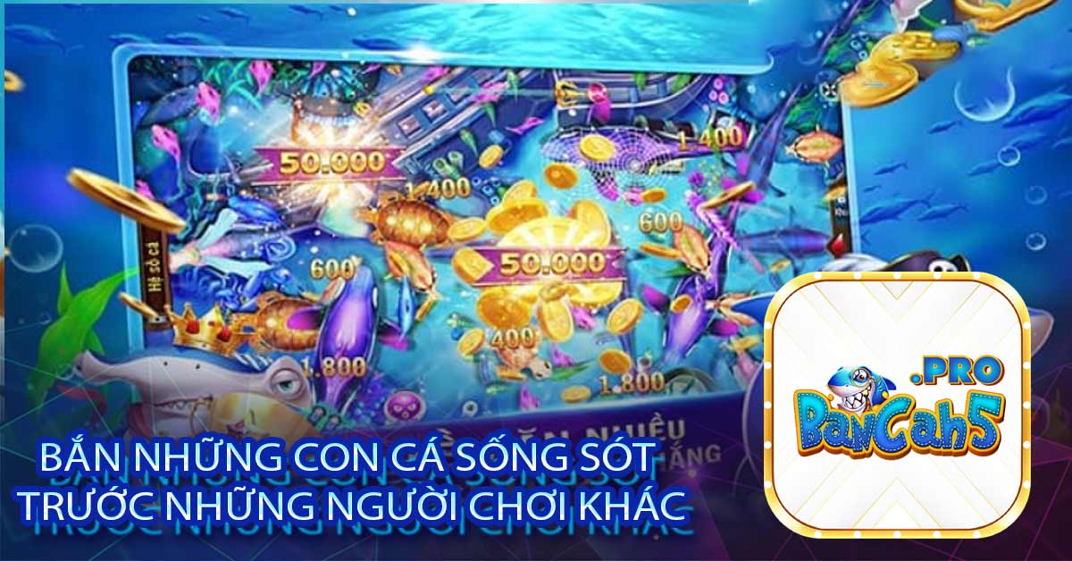 Bắn những con cá sống sót trước những người chơi khác
