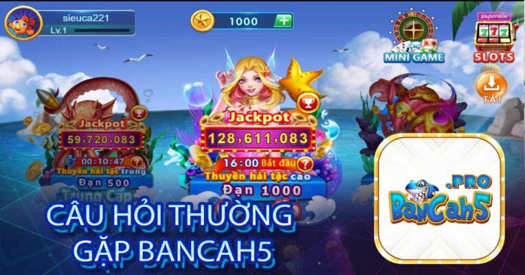 Câu hỏi thường gặp Bancah5