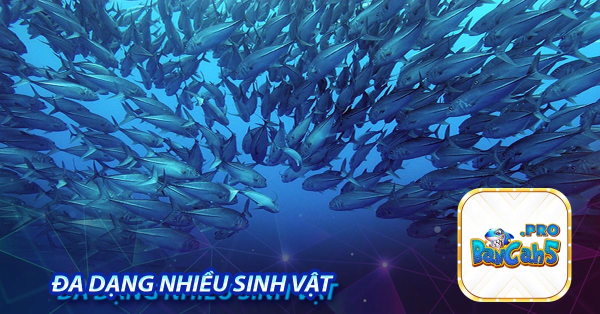 Đa dạng nhiều sinh vật