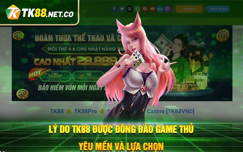 TK88 Có Lừa Đảo Đánh Giá Chi Tiết Tổng Quan Nhà Cái 1